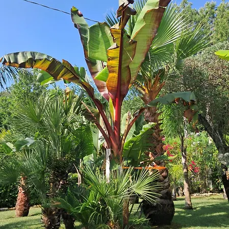 Villa Giselda Con Idromassaggio *