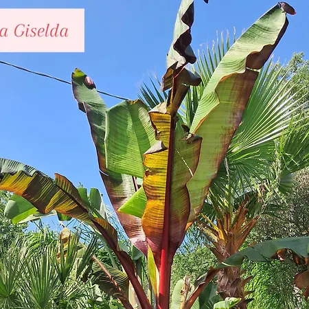 Giselda Con Idromassaggio Villa Formia